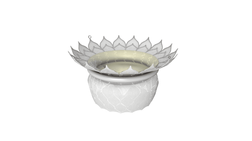 HighLife Mitral Valve System